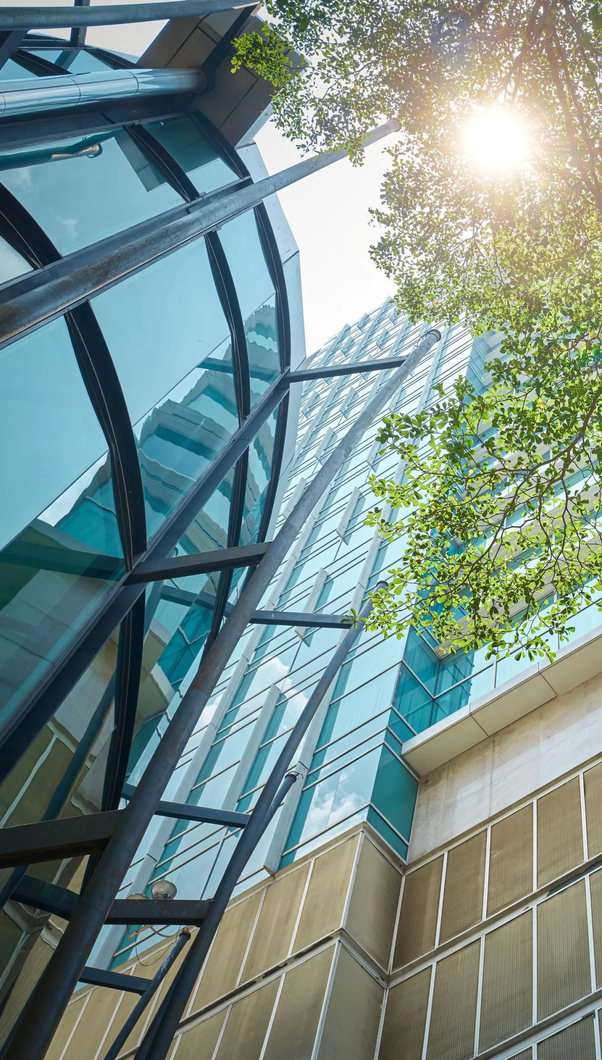 Navigating the Roads of Protection: A Guide to Motor Trade Insurance